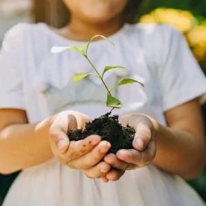 Produtos de limpeza de origem natural uma opção Sustentável e Saudável